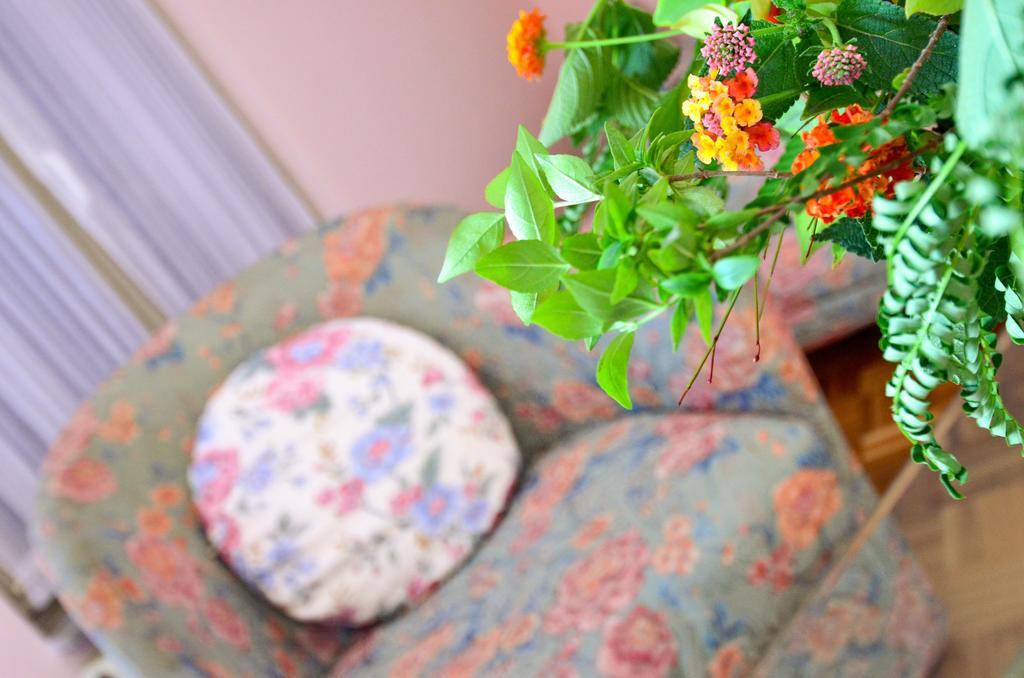 Villa Velzon Guesthouse Будва Экстерьер фото